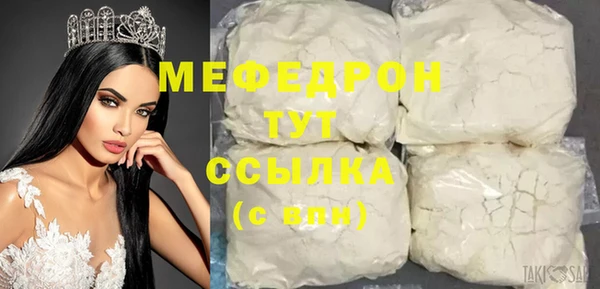 шишки Надым