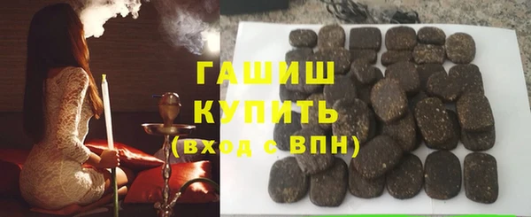 шишки Надым