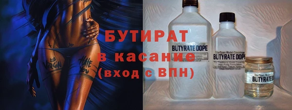 шишки Надым