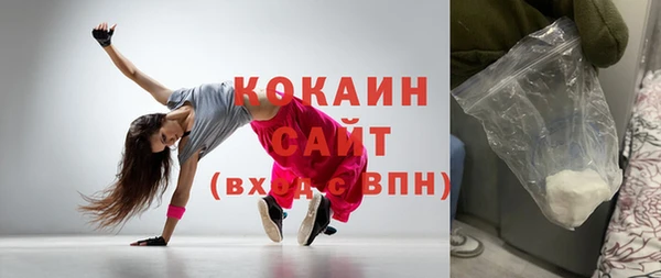 шишки Надым