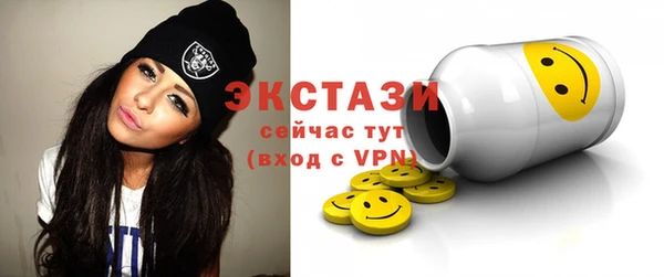 шишки Надым