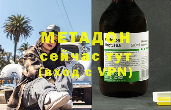 шишки Надым