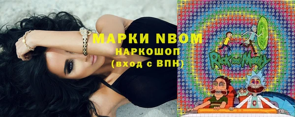 шишки Надым