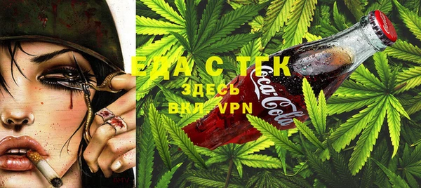 шишки Надым