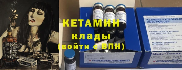 шишки Надым