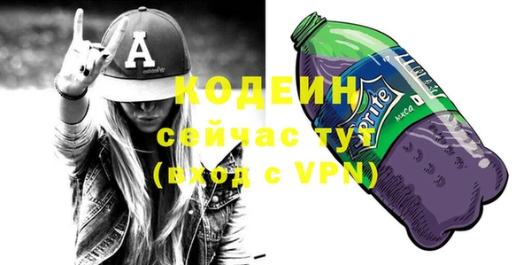 шишки Надым