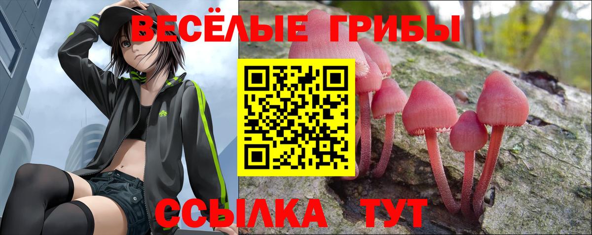наркотики  Галлюциногенные грибы прущие грибы  Вход с VPN  Псилоцибиновые грибы MAGIC MUSHROOMS  Вологда 